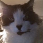 Profile Picture of David Dayle Rice (@david_dayle_rice) on Instagram