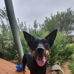 Profile Picture of Kalvin Heinz (@kalvin.heinz.5) on Facebook