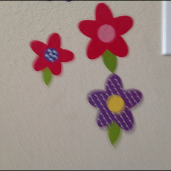 Profile Picture of Erica Cantoran (@ercaaa) on Poshmark