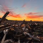 Profile Picture of Ian Gott (@gott.ian) on Instagram
