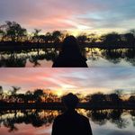 Profile Picture of Kyle Park (@park_kyle_94) on Instagram