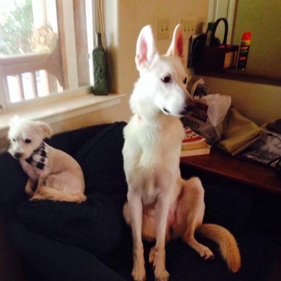 Profile Picture of Nancy Chaney (@nancychaney) on Poshmark