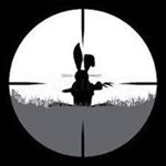 Profile Picture of Paul Tarrant (@paul.tarrant) on Instagram