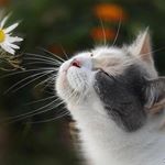 Profile Picture of Beverly Janet (@henn_6389) on Instagram