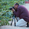 Profile Picture of Yousef Ahmed (@yak1380) on Flickr