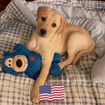 Profile Picture of Jan Elizabeth Blume (@aktbado) on Instagram