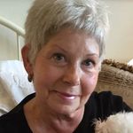 Profile Picture of Virginia Higgins (@virginiahiggins2) on Instagram
