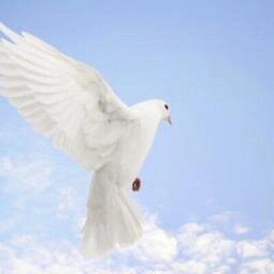 Profile Picture of Atul Krishna Agrawal (@atulkagr) on Twitter