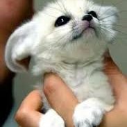 Profile Picture of Galen Stephens (@GalenMichaelS) on Twitter