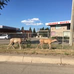 Profile Picture of Andrea Bloomfield (@andrea.bloomfield.73) on Facebook