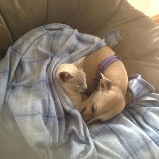 Profile Picture of Steve Findlay (@steve.findlay.357) on Facebook