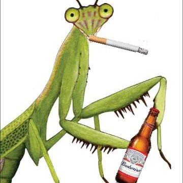 Profile Picture of Joe Mantis (@JoeMantis2) on Twitter