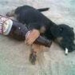 Profile Picture of Jeff Jarrett (@dj.designs247) on Instagram