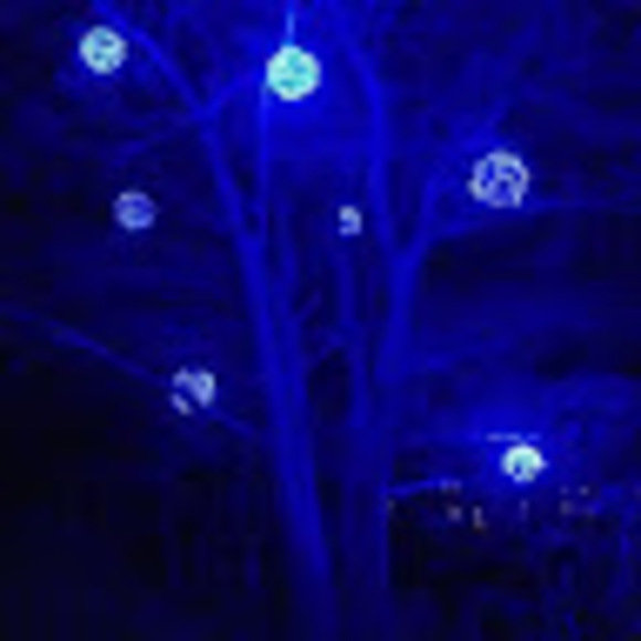 Profile Picture of Kate Tyndall (@kateaa26) on Poshmark