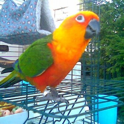 Profile Picture of Chris Gossett (@5150CHRIS) on Twitter