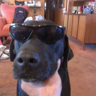 Profile Picture of Jeremy Kanter (@TheRealRetnak) on Twitter