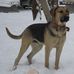 Profile Picture of Ernest Dupont (@ernest.dupont.5036) on Facebook