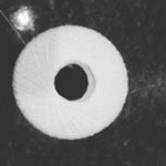 Profile Picture of Norma Caruso (@nor.mas36) on Instagram