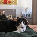 Profile Picture of Carlo De Vincentiis (@carlo.devincentiis.55) on Facebook