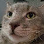 Profile Picture of Jonathan Bowersock (@jbowersock07) on Instagram