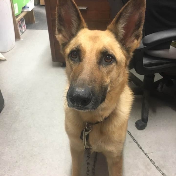 Profile Picture of Morgan Milner (@captainmorgan59) on Poshmark