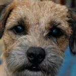 Profile Picture of Daniel Lee Syverson (@daniel.syverson) on Instagram