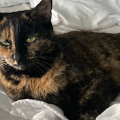 Profile Picture of Lisa Gillespie (@LisaGillespieDesigns) on Youtube