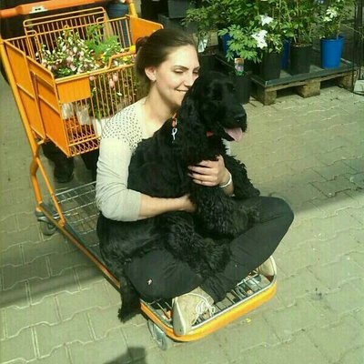 Profile Picture of Sarah Meister (@sarahmeister5) on Twitter