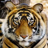 Profile Picture of Katelyn Adkins (@katelyn-adkins-1) on Quora
