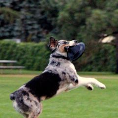 Profile Picture of georgevasilas489 (@georgevasilas489) on Tiktok