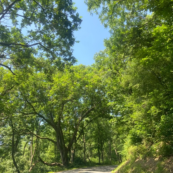 Profile Picture of Grace Molloy (@graceireland11) on Poshmark