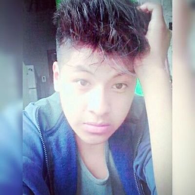 Profile Picture of Paul Benavides (@paulbenavides15) on Twitter