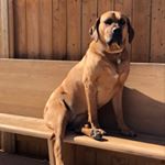 Profile Picture of Monica Boyce (@boycemonica) on Instagram