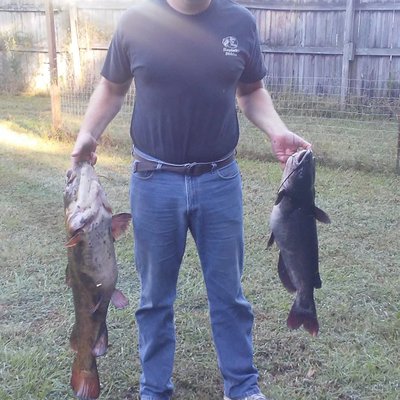 Profile Picture of Christopher Liles (@Christo66939822) on Twitter