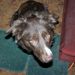 Profile Picture of mark maslanka (@lotcrater) on Pinterest