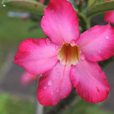 Profile Picture of Ann Enrile Otero (@annenrileotero) on Twitter