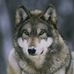 Profile Picture of Alexus Scheuerhaislip (@alexus.scheuerhaislip.1) on Facebook