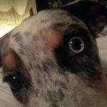 Profile Picture of Brent Colburn (@brentjcolburn) on Instagram