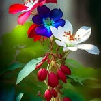 Profile Picture of Taun Kumar (@Taun-Kumar) on Facebook