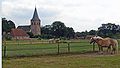 Profile Picture of Heemseon Wikipedia