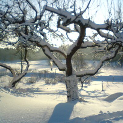 Profile Picture of Stephen Burleigh (@lostinskane) on Twitter