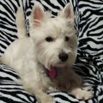 Profile Picture of Deborah Chandler (@deborah.chandler.14) on Instagram