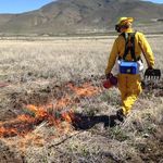 Profile Picture of Mark Winkelman (@mark_winkelman) on Instagram