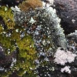 Profile Picture of Claire Weir (@claire.weir) on Instagram