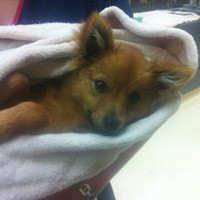 Emma Spurek - Quora Profile Picture of Emma Spurek (@emma-spurek) on Quora