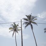 Profile Picture of Paige Scott (@pegi_pants_) on Instagram