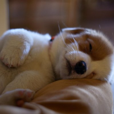 Profile Picture of JO EUN JEONG (@sumsum011) on Twitter