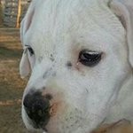 Profile Picture of Dick Diggler (@robertrg321) on Instagram