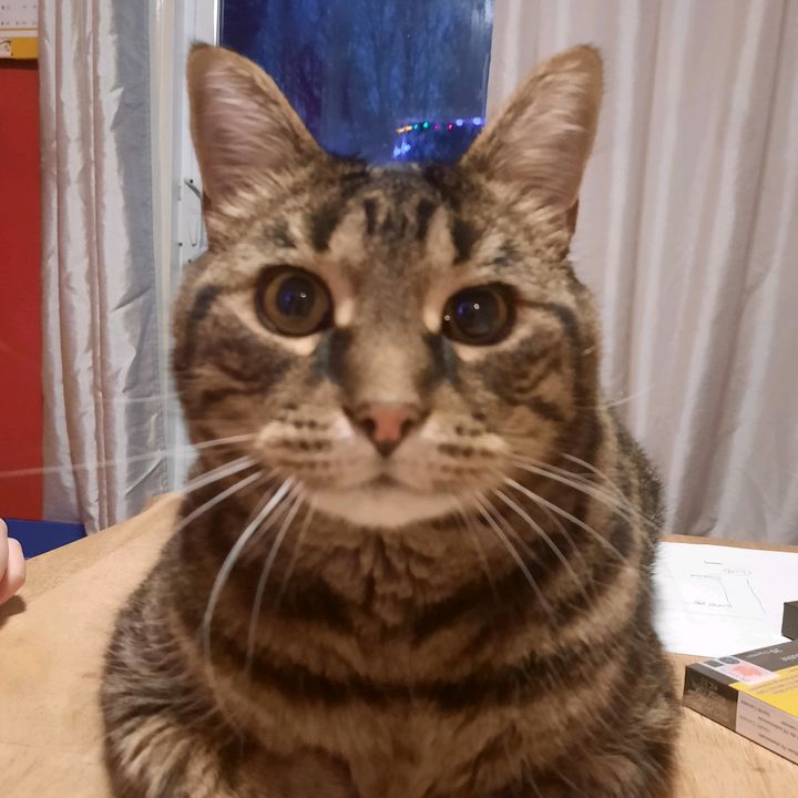 Profile Picture of Diane Stone (@diane.stone6) on Tiktok