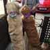 Profile Picture of Iris Stephenson (@Iris-Stephenson) on Facebook